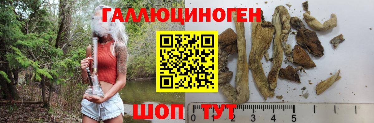 Кызыл  Псилоцибиновые грибы MAGIC MUSHROOMS  Галлюциногенные грибы GOLDEN TEACHER  Вход с VPN 