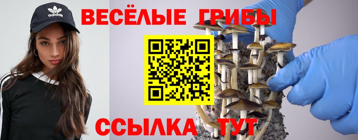Псилоцибиновые грибы мицелий Кызыл